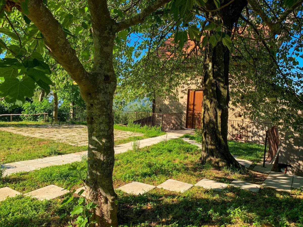 أَجيرولا Tenuta Novecento Bioagriturismo المظهر الخارجي الصورة