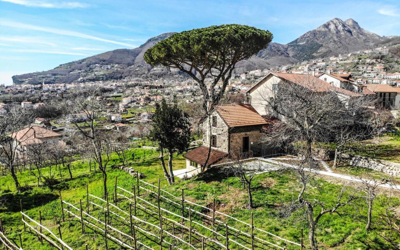 أَجيرولا Tenuta Novecento Bioagriturismo المظهر الخارجي الصورة