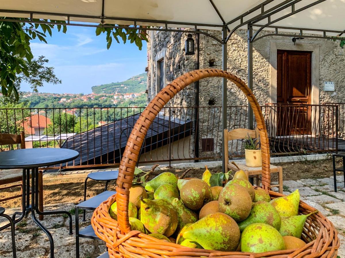 أَجيرولا Tenuta Novecento Bioagriturismo المظهر الخارجي الصورة