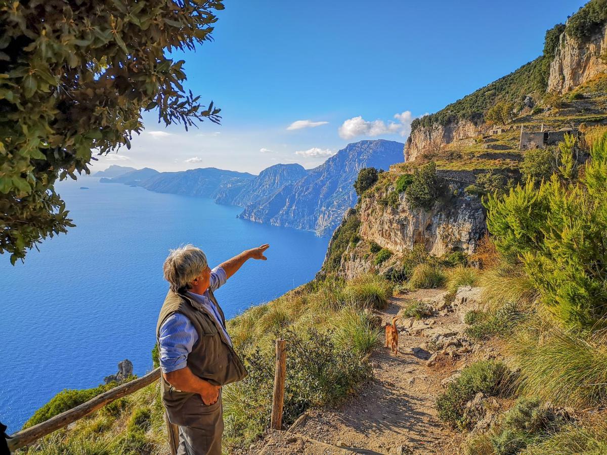 أَجيرولا Tenuta Novecento Bioagriturismo المظهر الخارجي الصورة